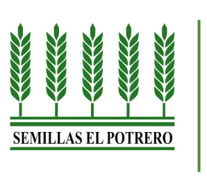 /logos/semillas.png